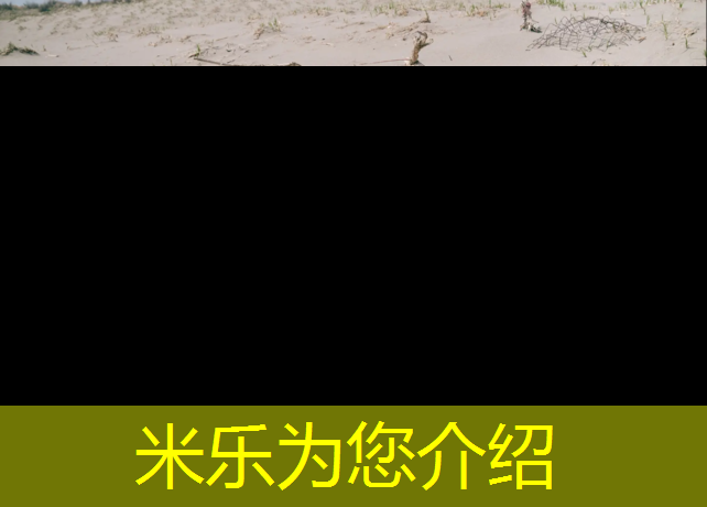 米樂(lè)為您介紹：塔城碧桂園塑膠跑道
