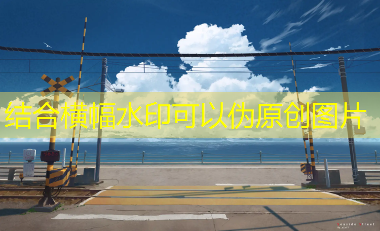 乒乓球臺哪種最好