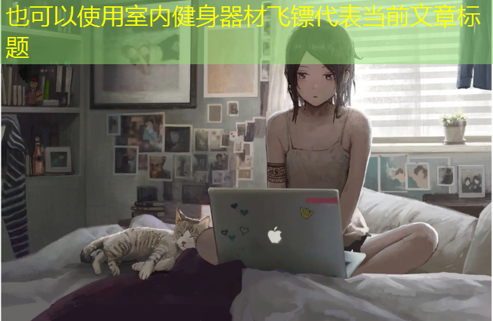 室內(nèi)健身器材飛鏢 室內(nèi)健身器材飛鏢